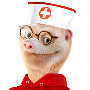 trouvez la meilleure mutuelle pour auto-entrepreneur et économisez sur vos dépenses de santé avec notre comparateur en ligne.