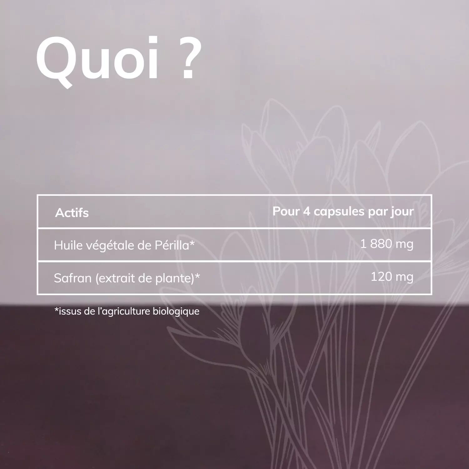 découvrez comment vous connecter à safra facilement et rapidement. accédez à vos services en ligne, gérez vos informations et profitez d'une expérience utilisateur optimale. connectez-vous dès maintenant pour profiter de tous les avantages.