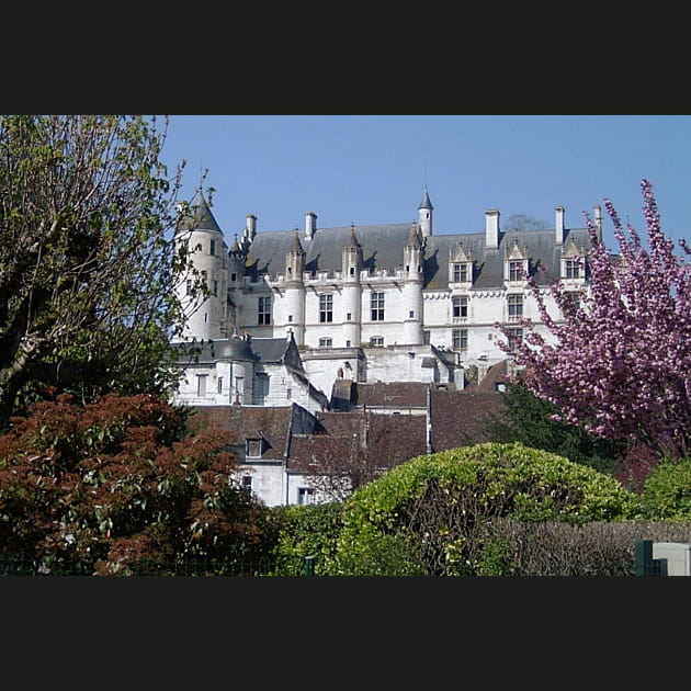 découvrez notre guide complet sur les assurances à loches. comparez les offres, trouvez la couverture idéale pour vos besoins et bénéficiez des conseils d'experts pour sécuriser votre avenir.