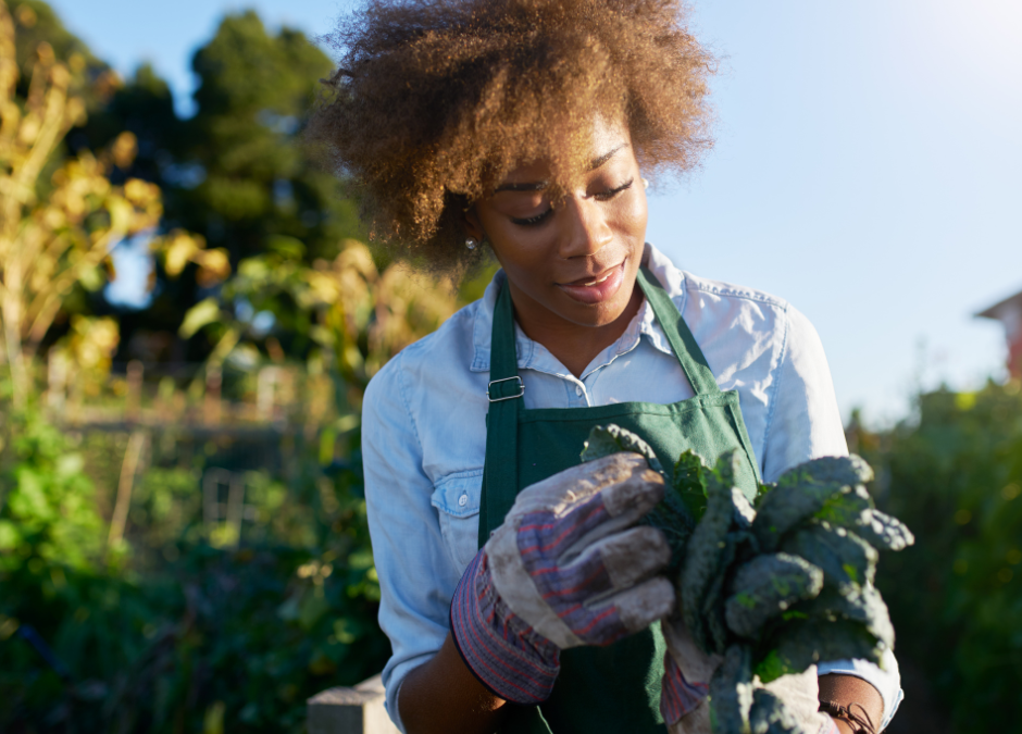 découvrez nos offres de mutuelle santé spécialement conçues pour les travailleurs indépendants. protégez votre santé et celle de votre famille tout en bénéficiant d'une couverture adaptée à vos besoins. obtenez un devis gratuit et comparez les meilleures options du marché.